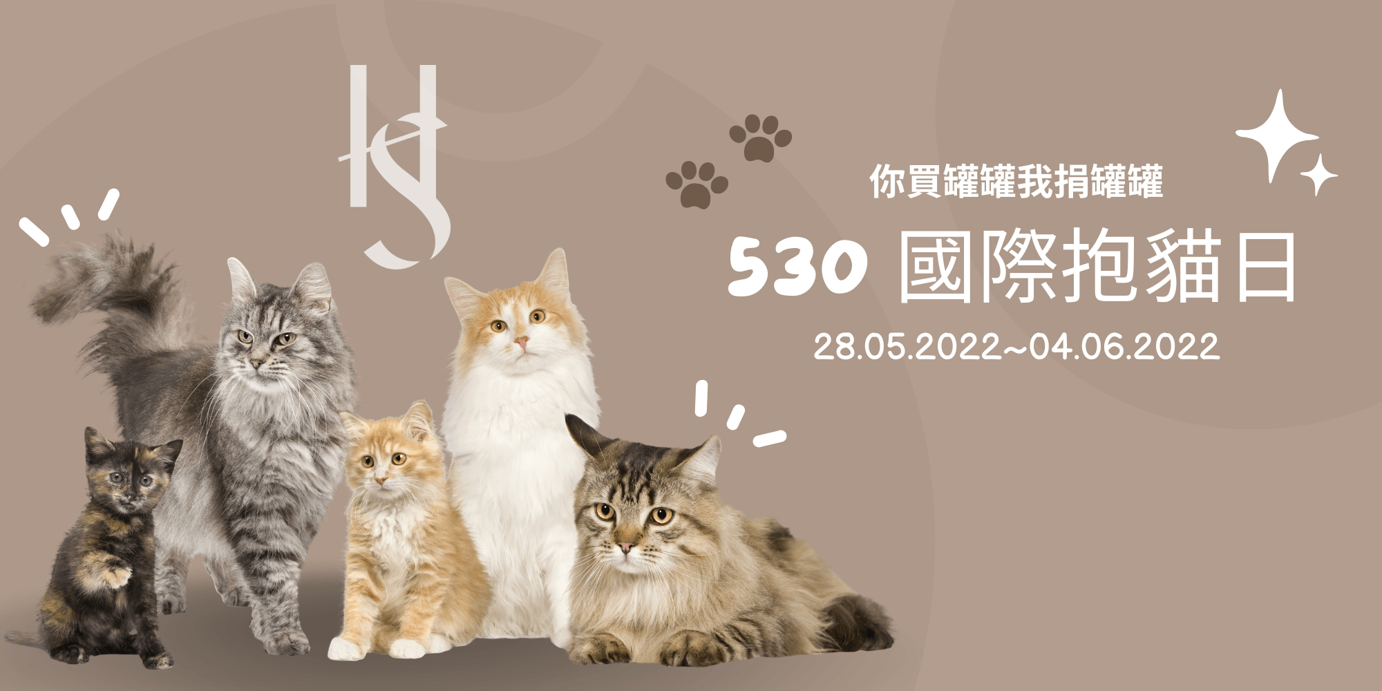 《530國際抱貓日,你買罐罐,我罐罐大行動》 - The Hubble Studio -