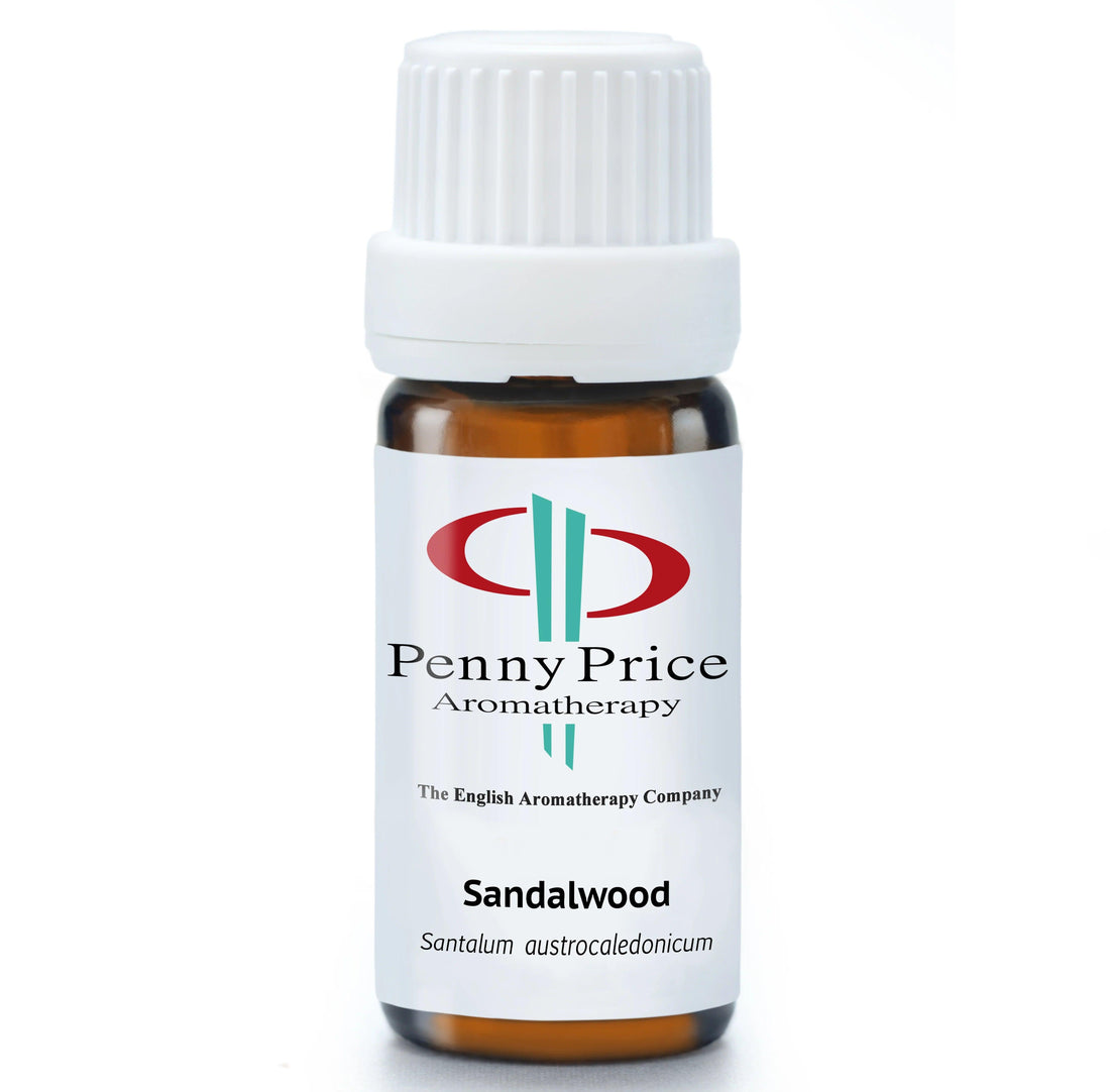 Sandalwood | Pure Essential Oil