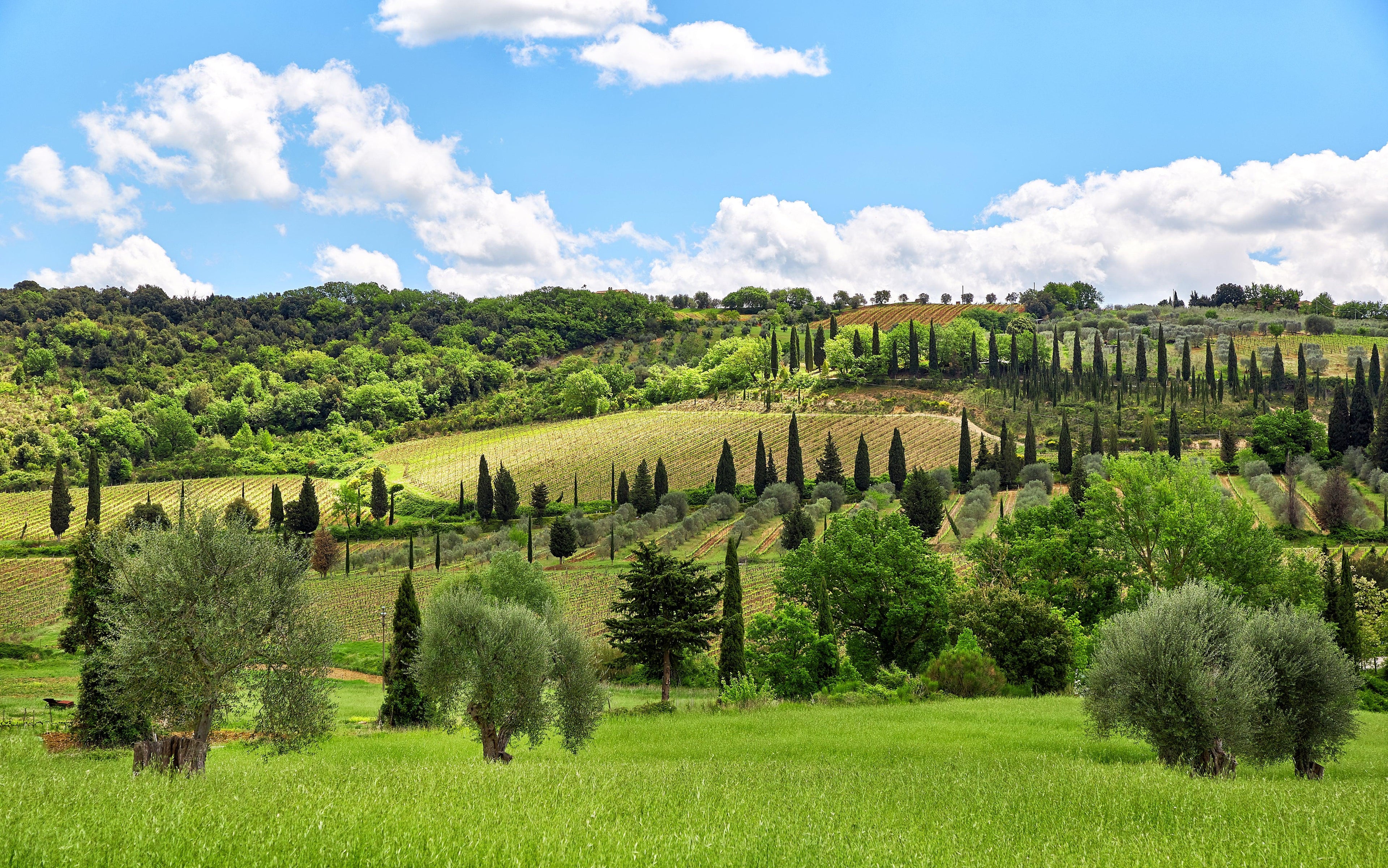 Toscana | Essential Oil Cream | The Renaissance